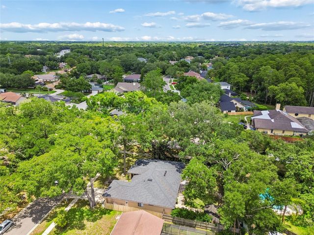 3602 ARLINGTON OAKS COURT, Tampa, FL 33618