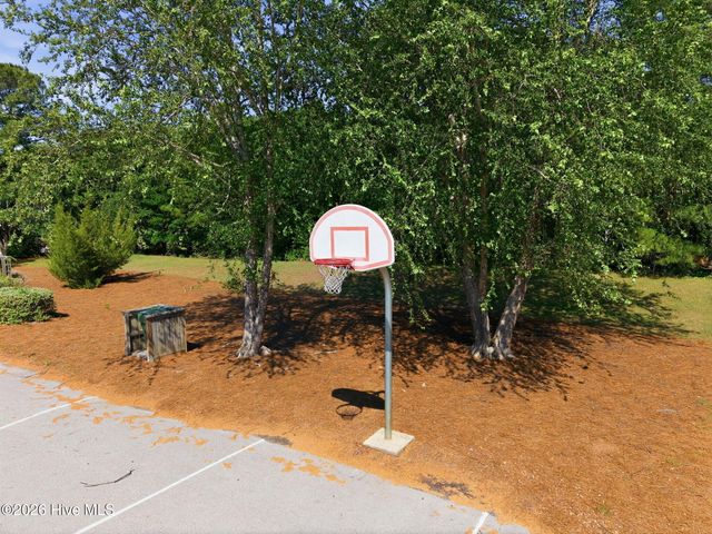 413 Canvasback Lane, Sneads Ferry, NC 28460