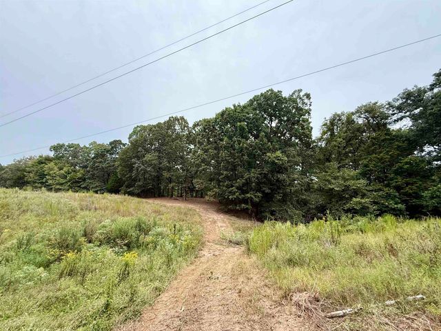 6235 MCKINSTRY RD, Moscow, TN 38076