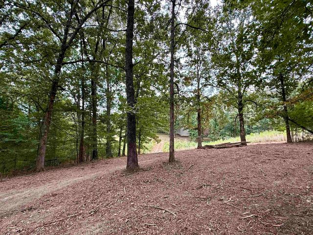 6235 MCKINSTRY RD, Moscow, TN 38076