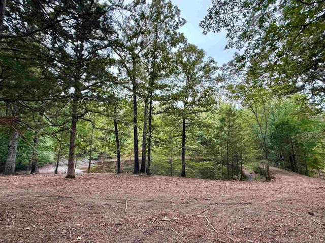 6235 MCKINSTRY RD, Moscow, TN 38076