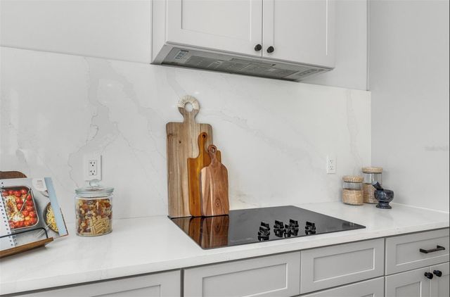 529 W PRINCETON STREET, Orlando, FL 32804