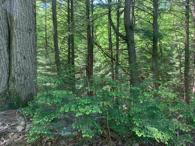 484 Cooledge Road, Hillsborough, NH 03244