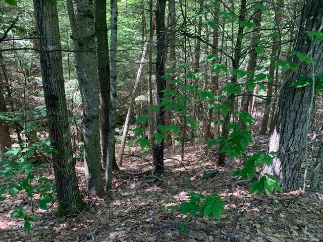 484 Cooledge Road, Hillsborough, NH 03244