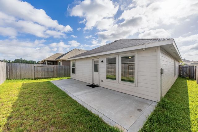 17238 Black Ash Court, New Caney, TX 77357