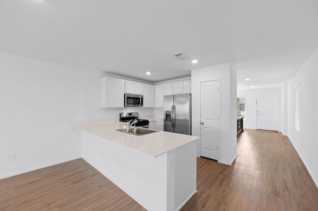17238 Black Ash Court, New Caney, TX 77357
