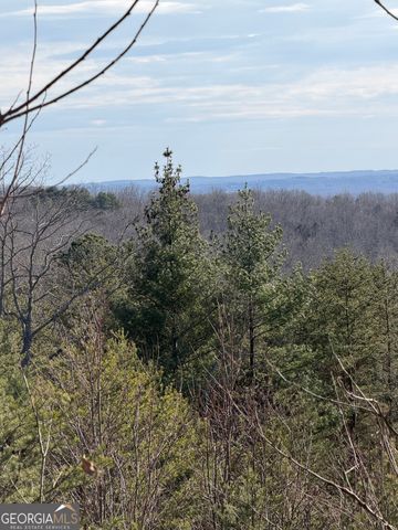 0 Mountain Ridge Drive LOT 42, Clarkesville, GA 30523