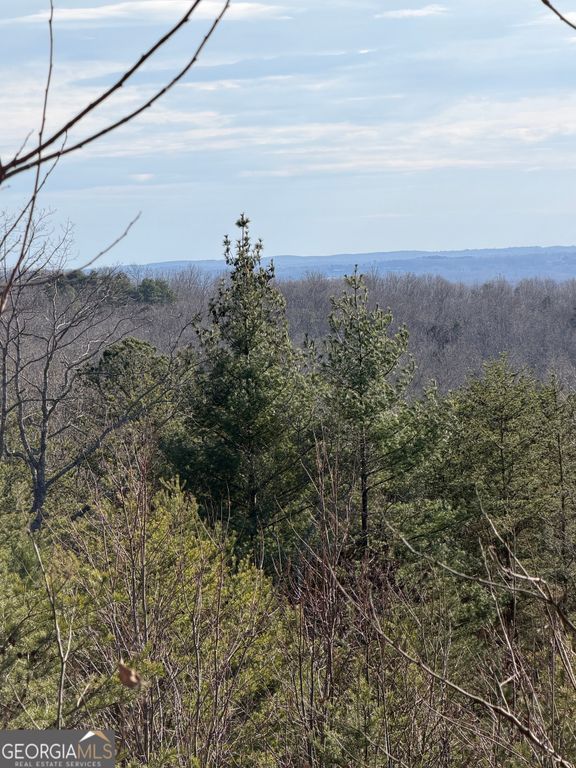 0 Mountain Ridge Drive LOT 42, Clarkesville, GA 30523 — photo 5