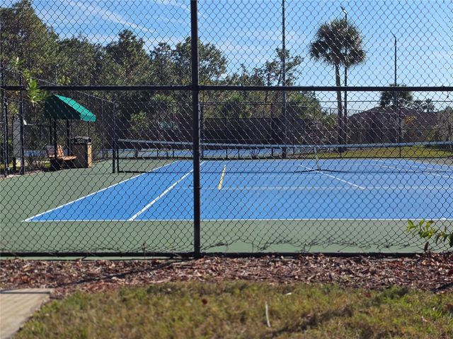 20403 HARVEST OAK COURT, Tampa, FL 33647