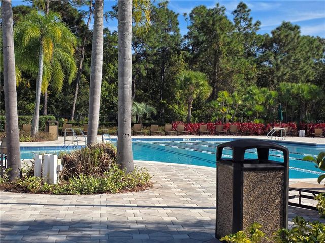 20403 HARVEST OAK COURT, Tampa, FL 33647