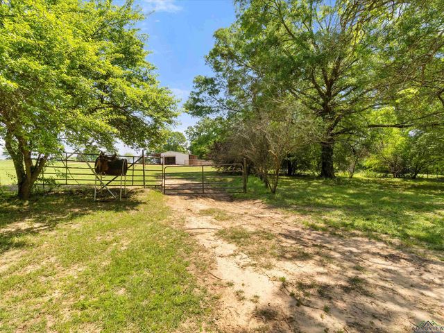 1137 FM 2985, Hughes Springs, TX 75656