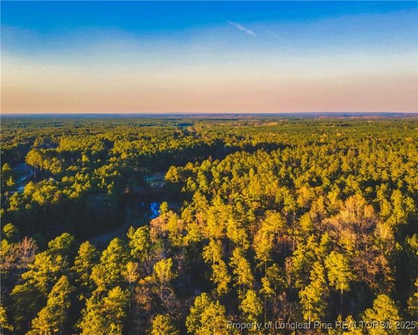 Tract 6 Peach Orchard Road, Wagram, NC 28396