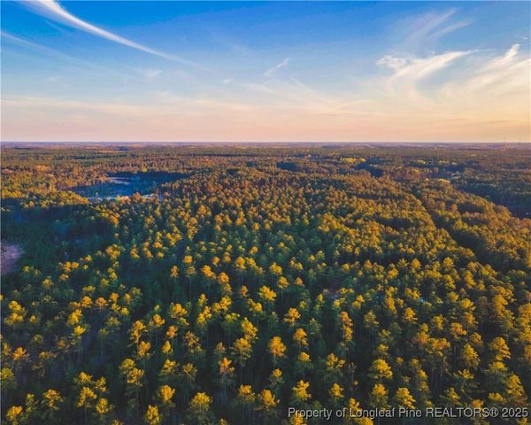 Tract 6 Peach Orchard Road, Wagram, NC 28396