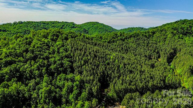 146 S Branch Drive, Bostic, NC 28018