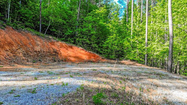 146 S Branch Drive, Bostic, NC 28018