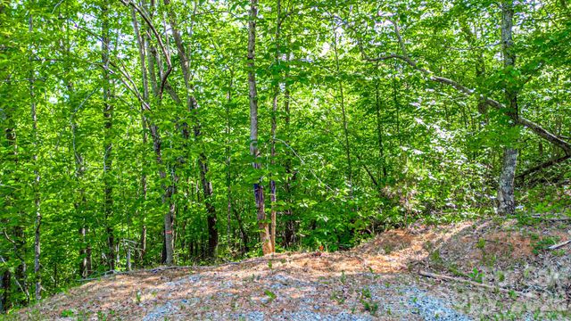 146 S Branch Drive, Bostic, NC 28018