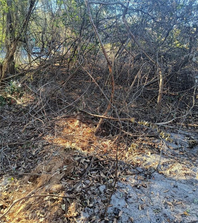 Image 13 of property listing at 1929 NE 7TH PLACE, Gainesville, FL 32641