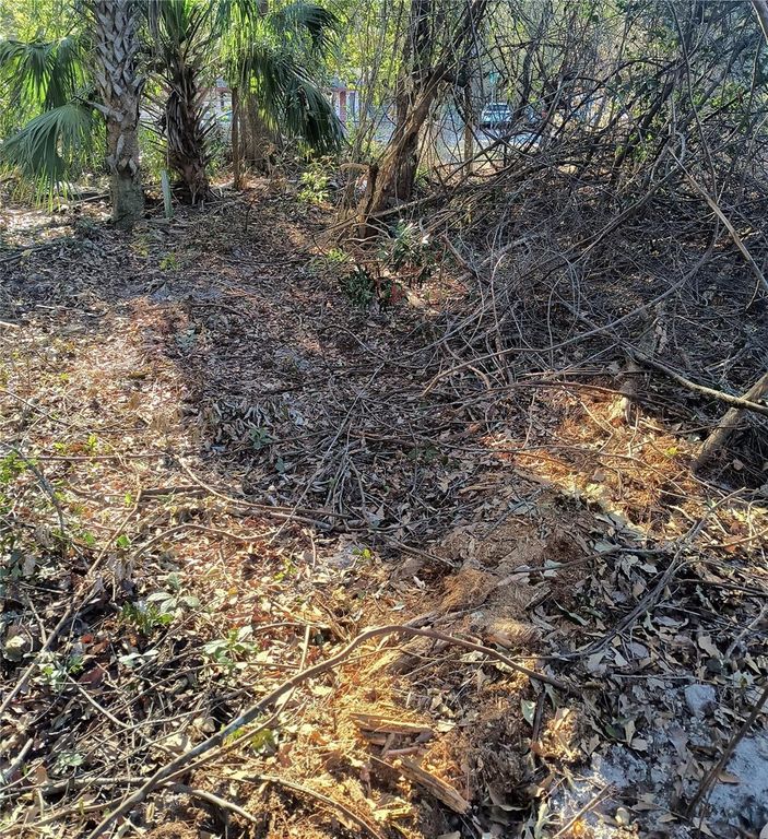 Image 14 of property listing at 1929 NE 7TH PLACE, Gainesville, FL 32641