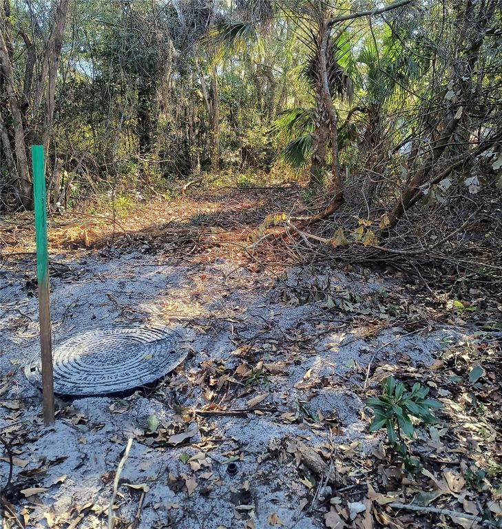 Image 17 of property listing at 1929 NE 7TH PLACE, Gainesville, FL 32641