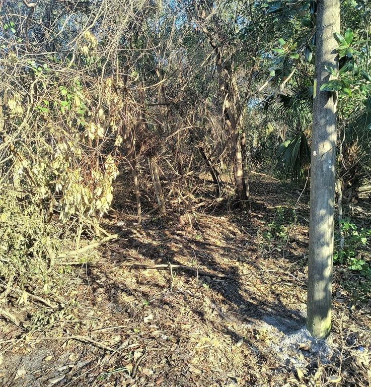 Image 5 of property listing at 1929 NE 7TH PLACE, Gainesville, FL 32641