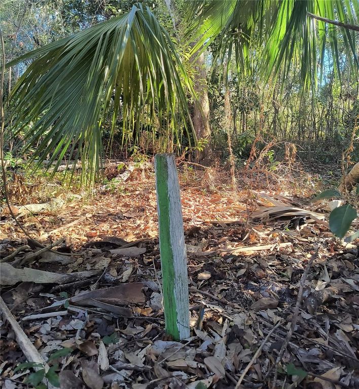 Image 6 of property listing at 1929 NE 7TH PLACE, Gainesville, FL 32641