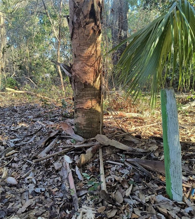 Image 7 of property listing at 1929 NE 7TH PLACE, Gainesville, FL 32641