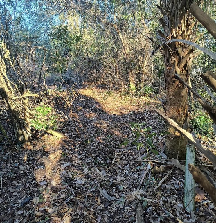 Image 8 of property listing at 1929 NE 7TH PLACE, Gainesville, FL 32641