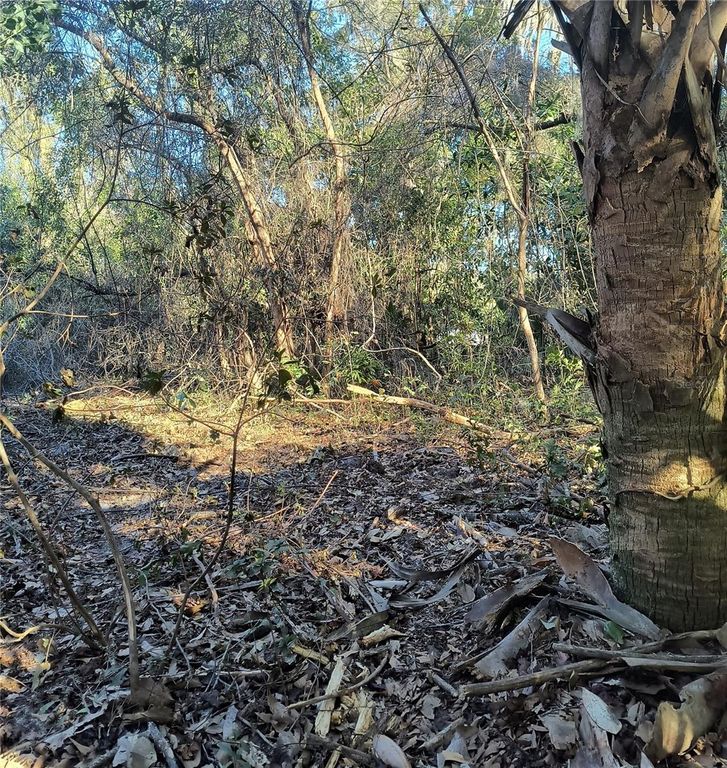 Image 9 of property listing at 1929 NE 7TH PLACE, Gainesville, FL 32641