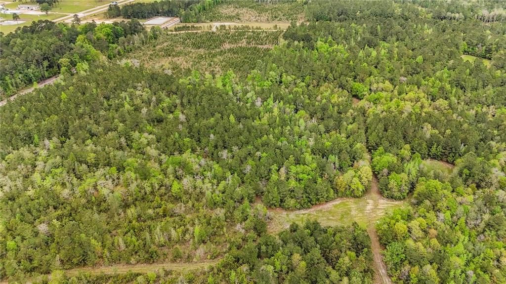 0 Highway 43 N, Mount Vernon, AL 36560 — photo 5