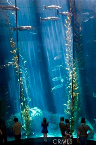 800 E Ocean Boulevard 504, Long Beach, CA 90802