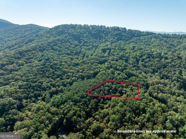 TRACT 1 Turniptown Road, Ellijay, GA 30536