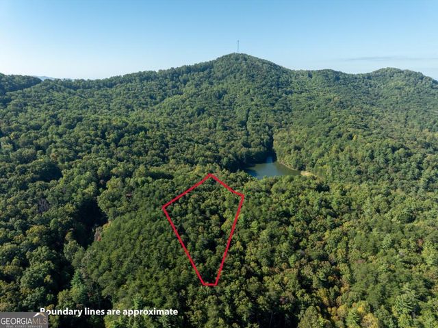TRACT 1 Turniptown Road, Ellijay, GA 30536