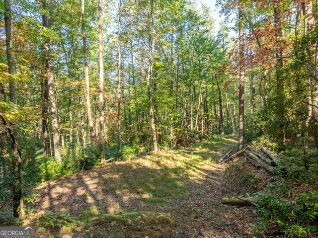 TRACT 1 Turniptown Road, Ellijay, GA 30536