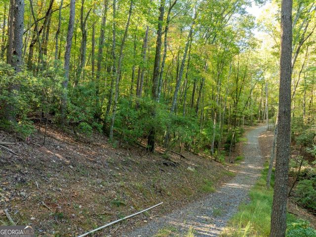 TRACT 1 Turniptown Road, Ellijay, GA 30536