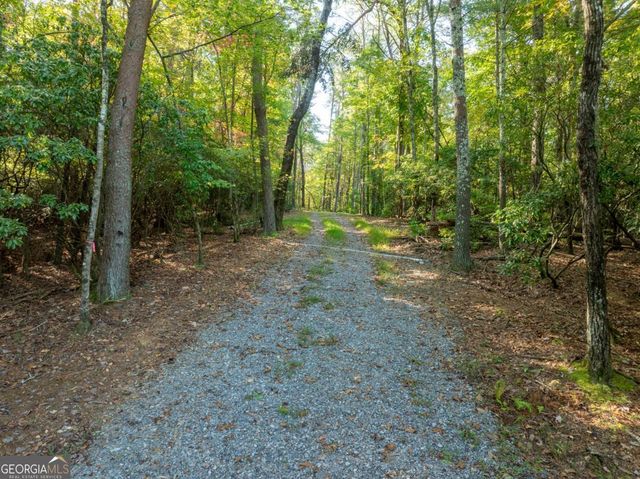 TRACT 1 Turniptown Road, Ellijay, GA 30536