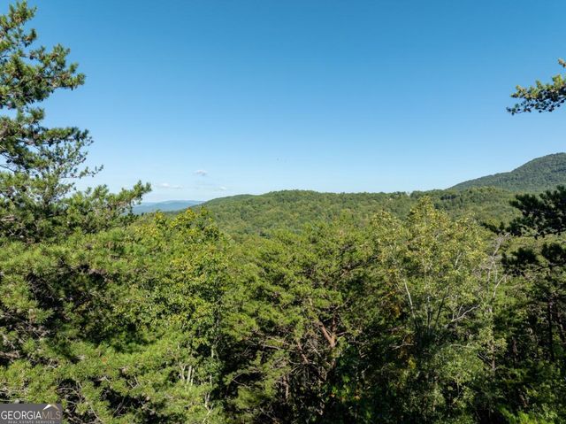 TRACT 1 Turniptown Road, Ellijay, GA 30536
