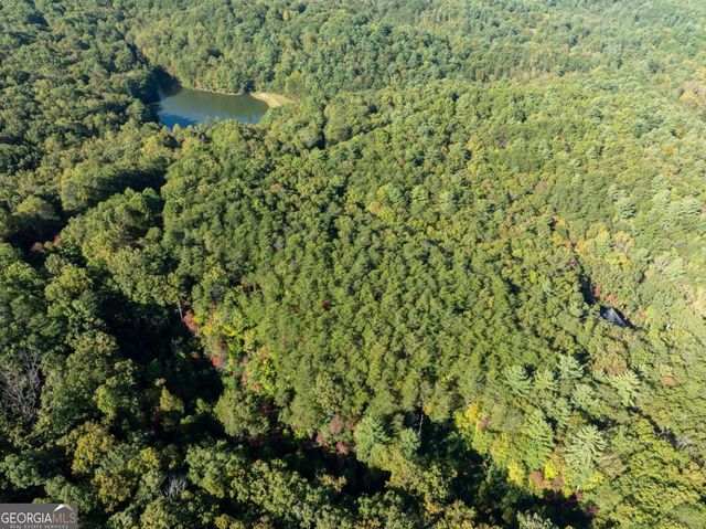 TRACT 1 Turniptown Road, Ellijay, GA 30536