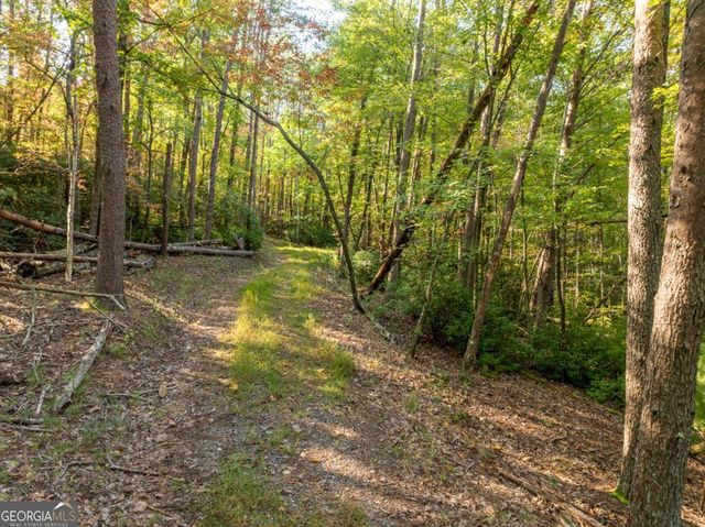 TRACT 1 Turniptown Road, Ellijay, GA 30536