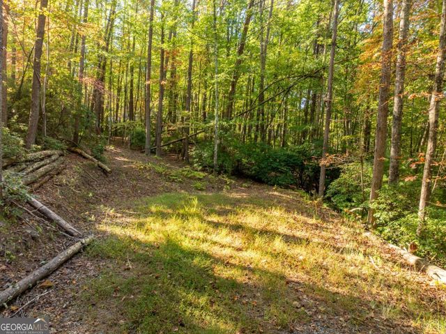TRACT 1 Turniptown Road, Ellijay, GA 30536