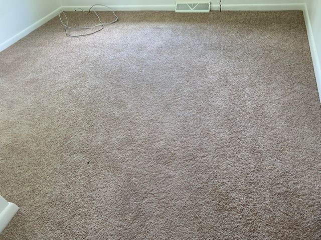 205 Pinewood Drive, Summerville, SC 29483