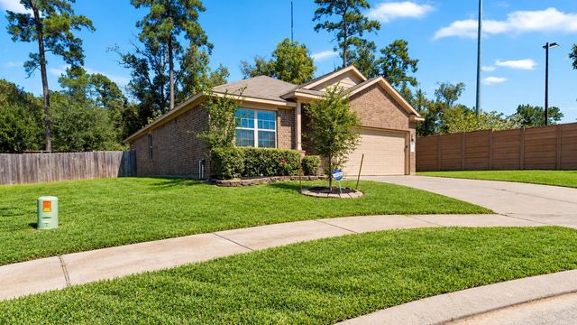 11502 Castle Nugent Court, Conroe, TX 77304