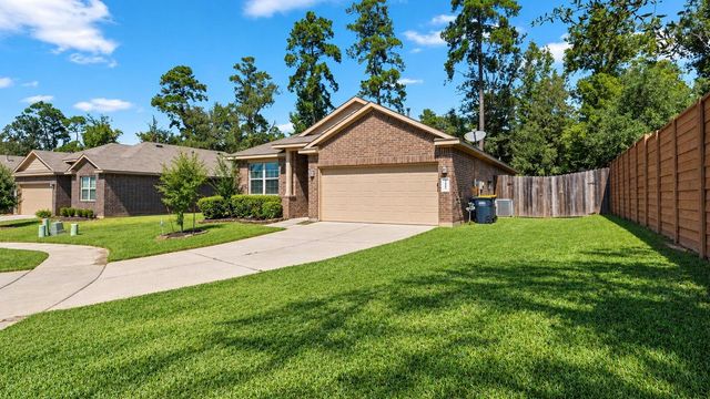 11502 Castle Nugent Court, Conroe, TX 77304