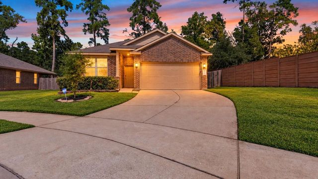 11502 Castle Nugent Court, Conroe, TX 77304