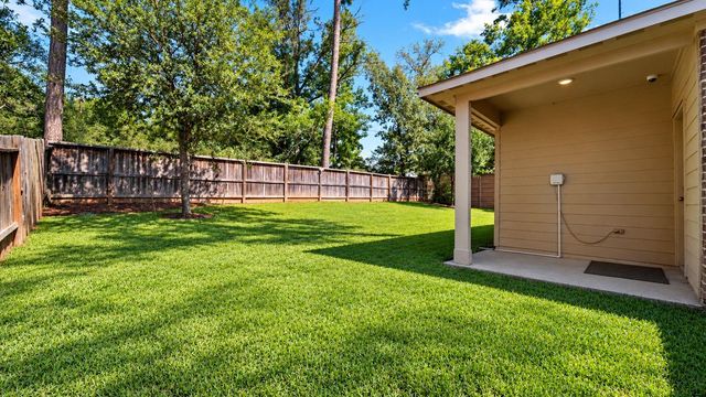 11502 Castle Nugent Court, Conroe, TX 77304