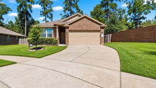 11502 Castle Nugent Court, Conroe, TX 77304