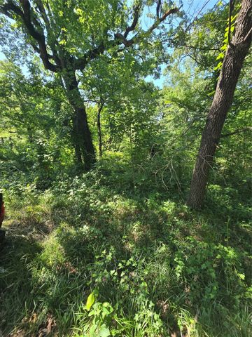 00 Nina Street, Payne Springs, TX 75156
