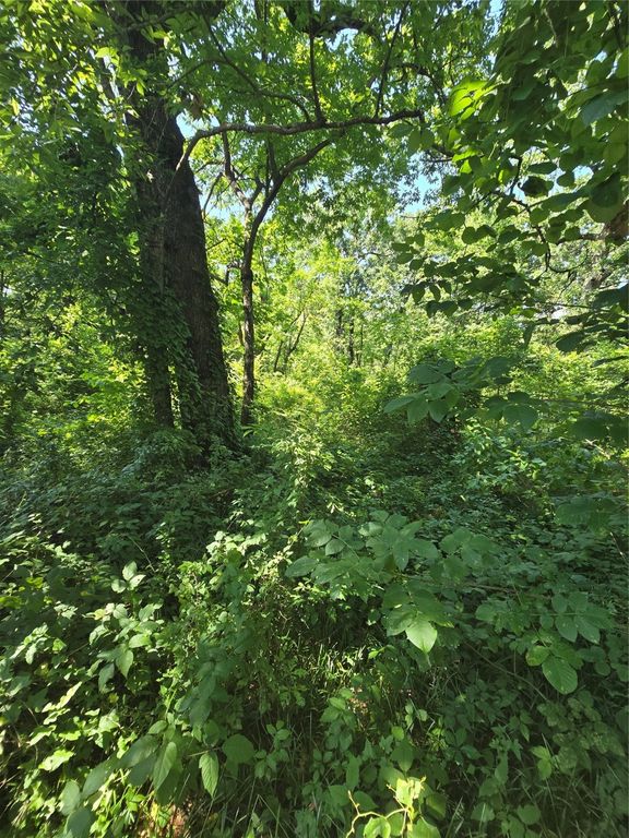 00 Nina Street, Payne Springs, TX 75156