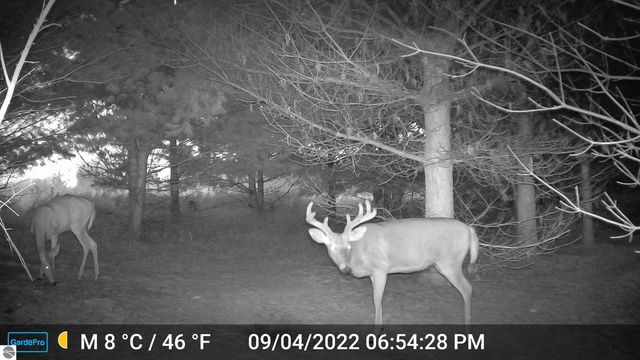 3626 90th Avenue, Evart, MI 49631