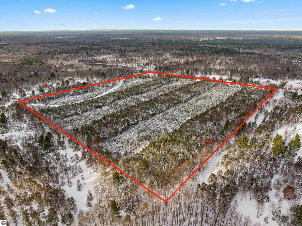 Image 10 of property listing at 40 acres Cedar Creek Road, Fife Lake, MI 49633