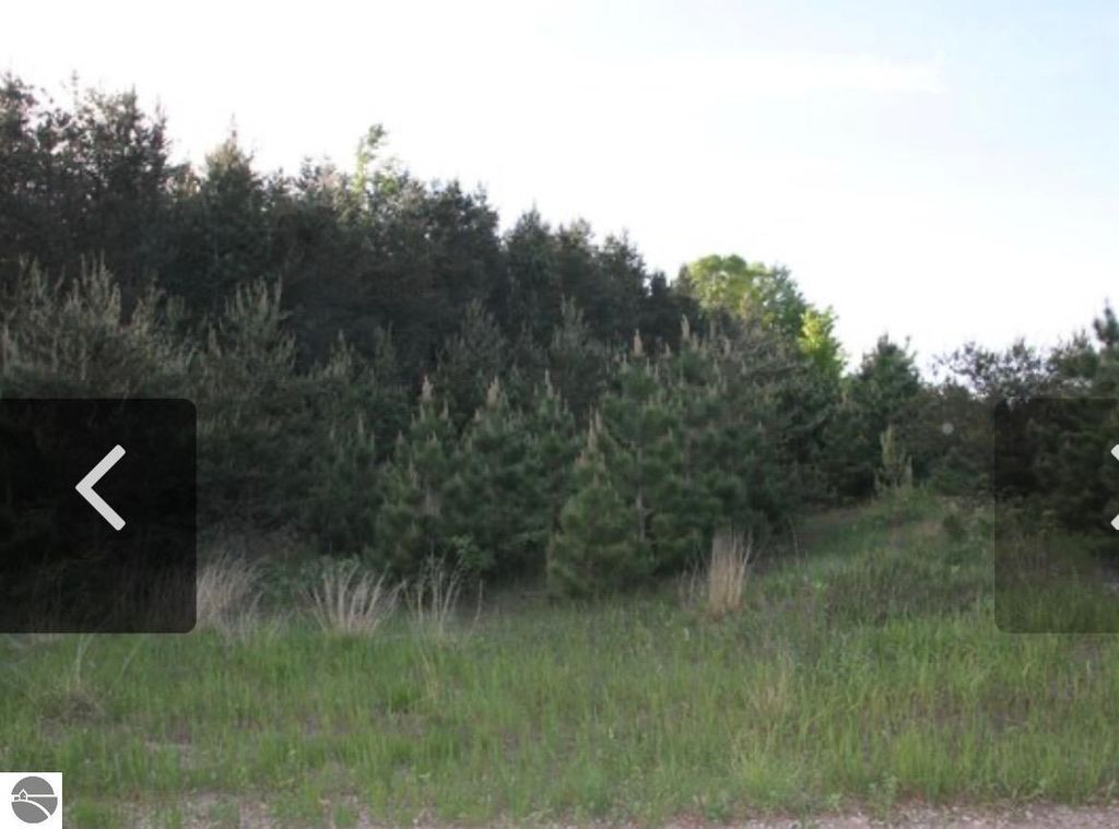 Image 11 of property listing at 40 acres Cedar Creek Road, Fife Lake, MI 49633